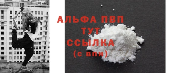 прущие крисы Новодвинск