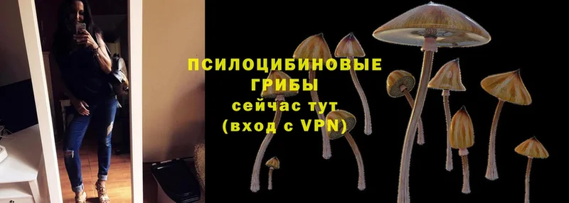 площадка какой сайт  Нижняя Салда  Галлюциногенные грибы Magic Shrooms  закладки 